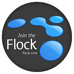 flock browser logo