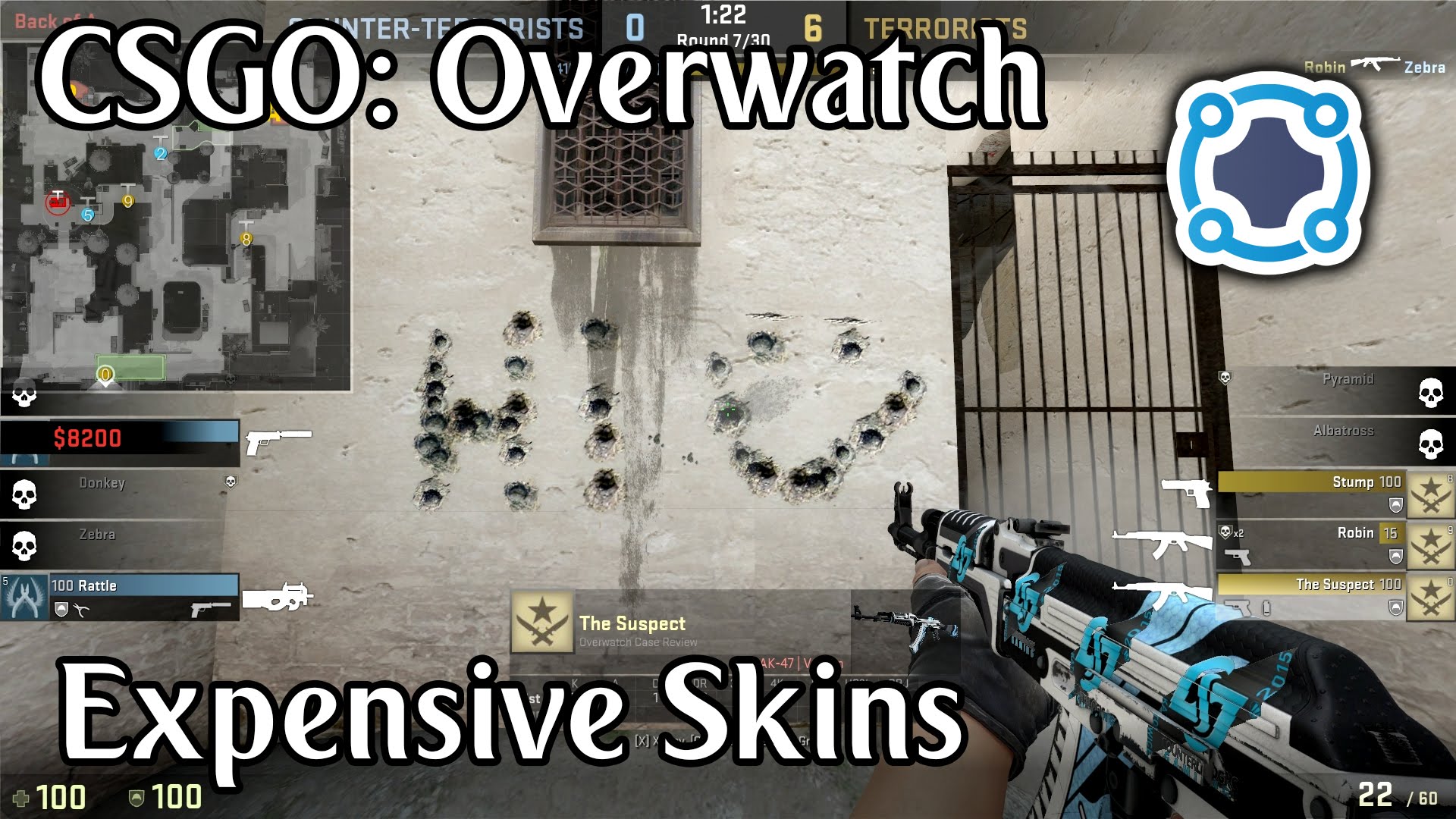CS:GO Overwatch - Nice Skins - Episode 16